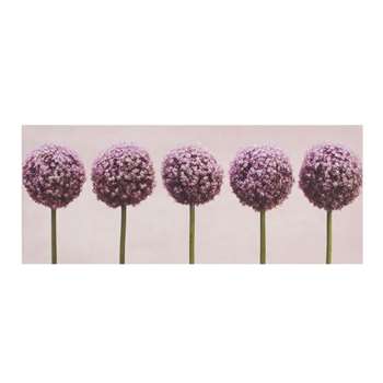 Graham & Brown Row Of Alliums Printed Canvas (H40 x W100 x D3cm)